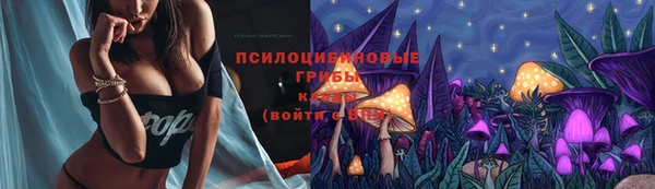 экстази Алексин