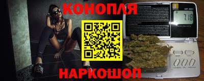 прущие грибы Волгодонск