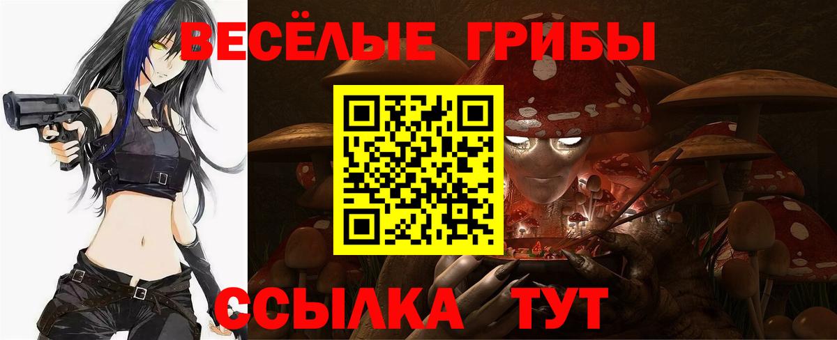 Галлюциногенные грибы ЛСД  где купить наркоту  Топки  Вход с VPN 