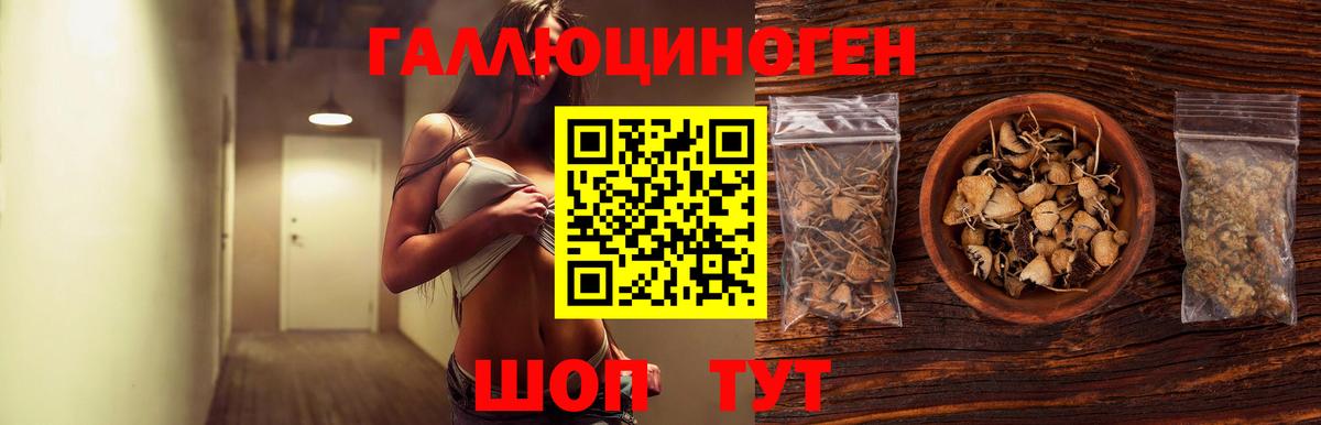 Псилоцибиновые грибы MAGIC MUSHROOMS Топки